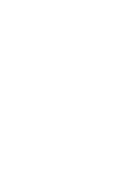 MADVIZ